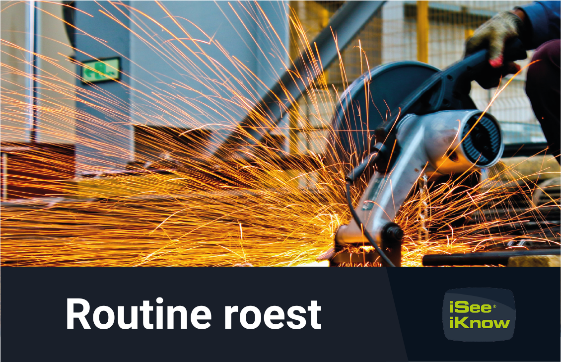 Afbeelding bij Routine roest